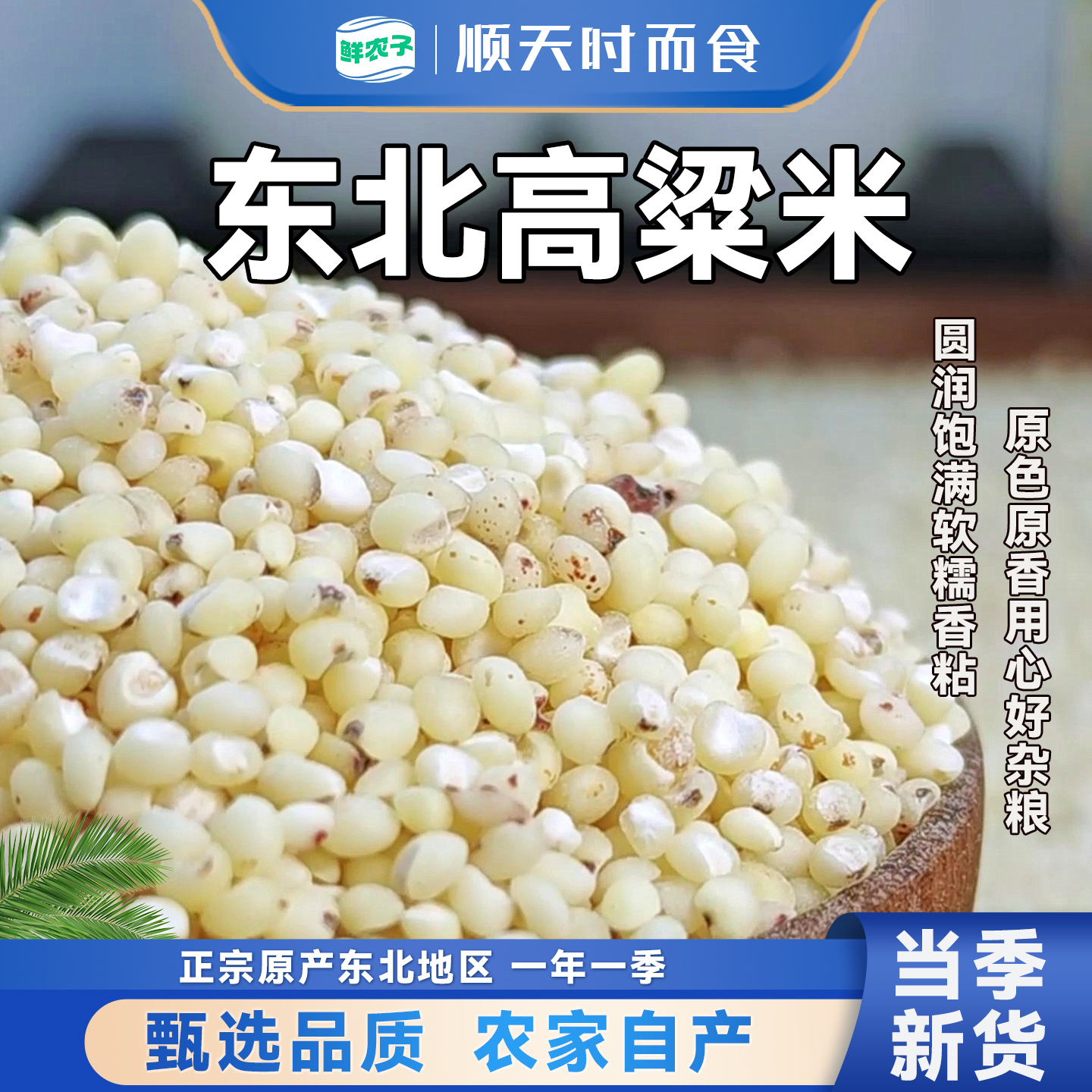 东北高粱米当季新高粱米水饭米农家自产五谷杂粮粥低脂代餐