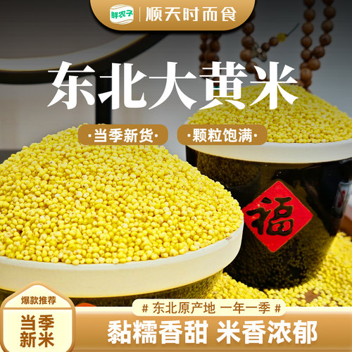 当季新粮 品质可靠