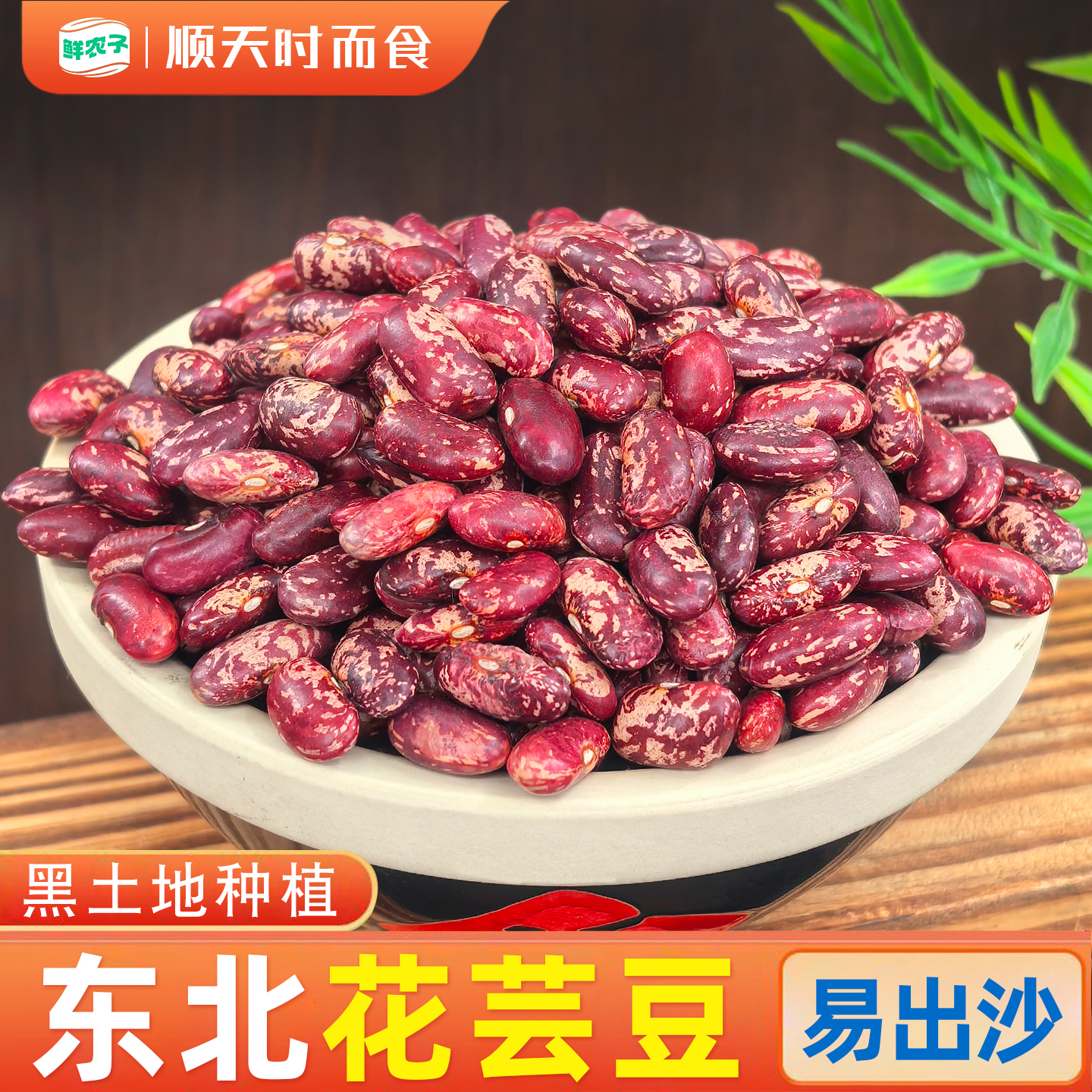 东北花芸豆新鲜红花芸豆大豆黑龙江五谷杂粮饭豆干腰豆散装紫花