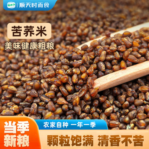 纯黑苦荞米胚芽米云南农家粗粮荞麦仁米五谷杂粮熬粥煮饭糙米
