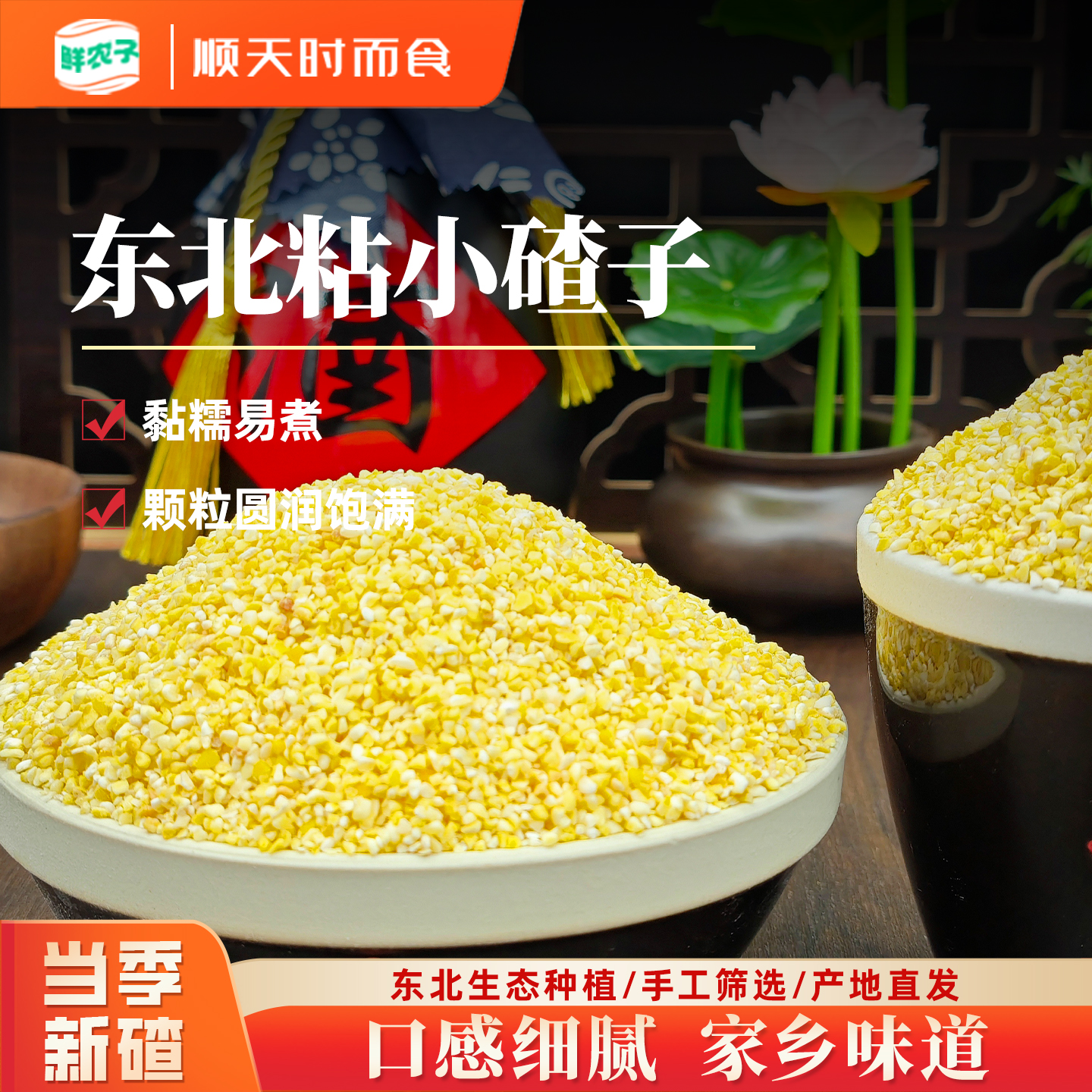 东北粘小碴子5斤装黏玉米糁玉米碴五谷杂粮健康粗粮代餐小粘碴粥