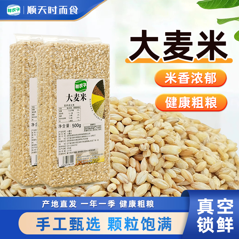 东北大麦米真空新货去皮大麦仁5斤农家粗粮脱皮煮粥煮饭五谷杂粮