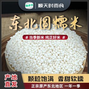 东北糯米圆粒新糯米白江米包粽子糍粑大米汤圆酿酒杂粮1斤小包装