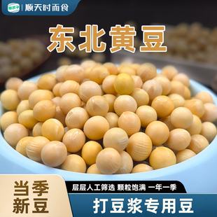 东北黄大豆5斤装 新豆农家自产 黄豆豆浆五谷杂粮非转基因当季