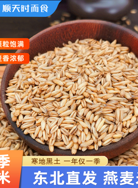 东北燕麦米燕麦仁糙米代餐新米胚芽粗粮可煮粥煲饭五谷杂粮新粮
