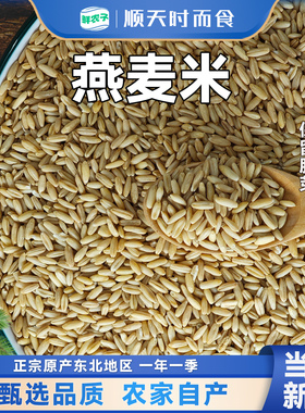 东北燕麦米新米燕麦仁糙米代餐营养胚芽米可煮粥煲饭五谷杂粮米