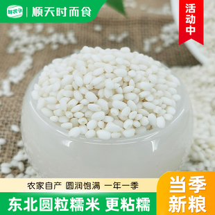 东北白糯米圆粒25年新货圆糯米江米粘米农家酿酒包粽子专用小包装