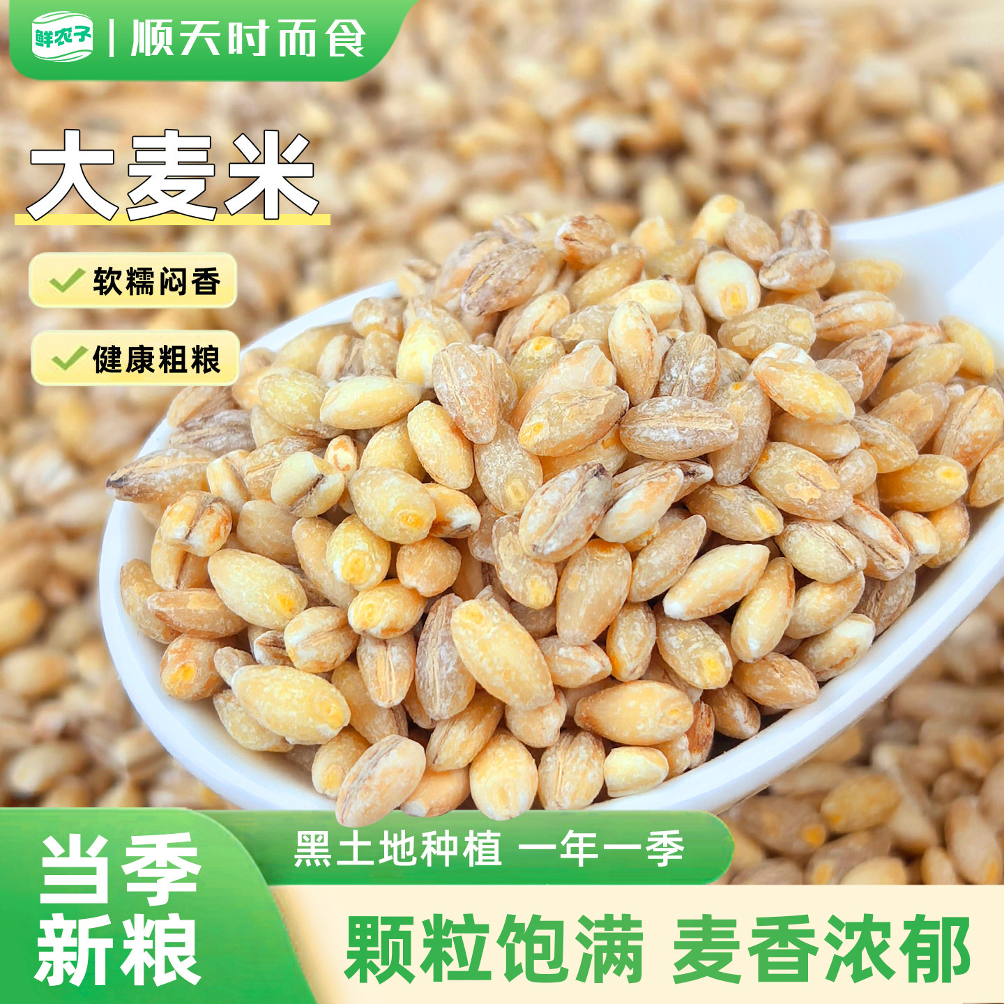 东北大麦米粗粮2.5kg五谷杂粮煮粥农家豆浆原味新货熟去皮麦仁图片