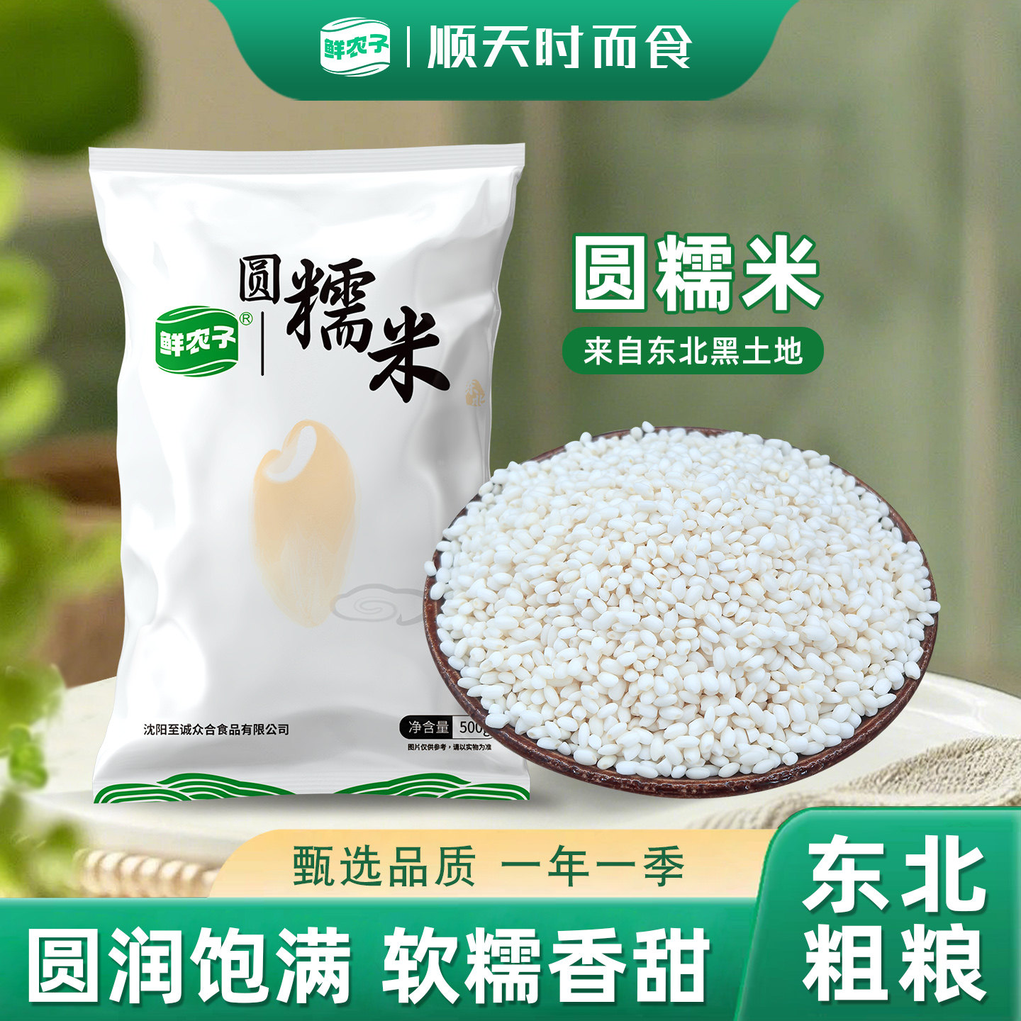 东北圆糯米农家自产粘大米江米包粽子酿酒五谷杂粮粗粮