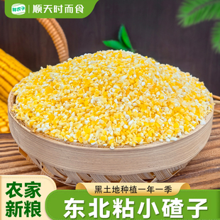 东北粘小碴子2斤5斤 粘黄黏苞米渣去皮玉米碴子 农家小粒糯玉米碴