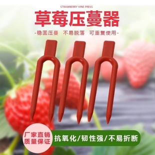 草莓育苗叉草莓叉子压苗叉固定压蔓器固定器西瓜草莓大棚藤蔓塑料