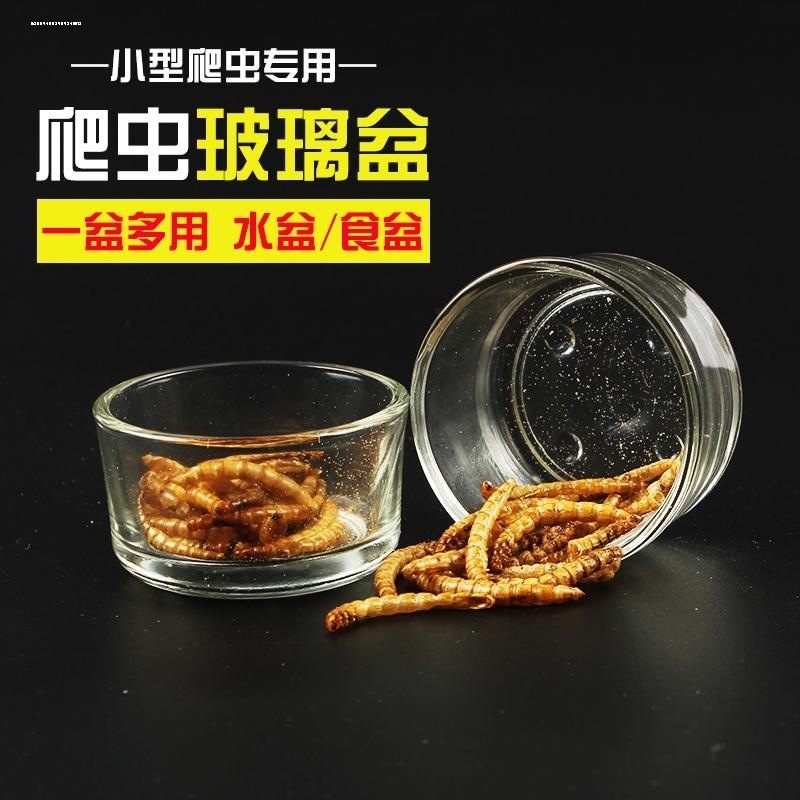 玻璃水盆食盆玻璃杯水盆食盆蜘蛛蜈蚣蝎子宠物爬宠爬虫水盆食盆