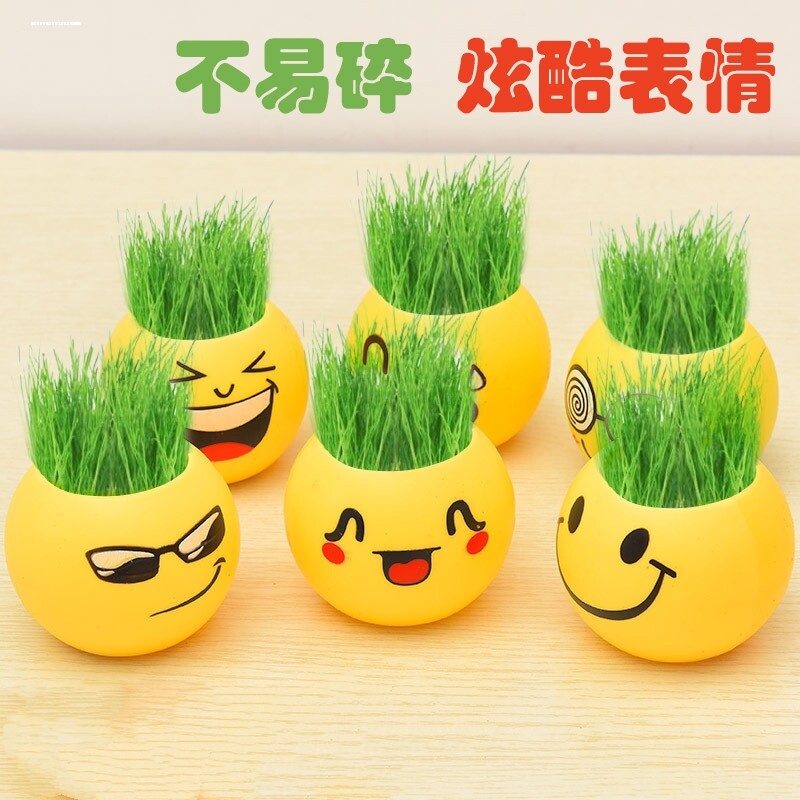 长草娃娃炫酷表情植物盆栽摆件学生礼品玩具微景观种植小草头娃娃