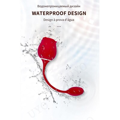 Couple sucking vibrator Clitoral stimulator Flexible USB cha