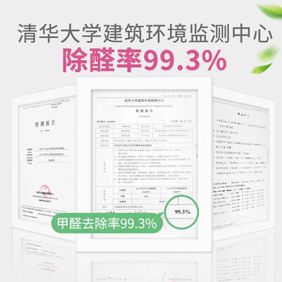 虎凤蝶醛空除甲醛清除剂新房家用装修强力吸味去甲醛空气净化神器