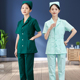 分体套色紫装 薄短款 绿色口腔医生工作服 士服夏护长袖 速发季