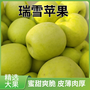 陕西特产瑞雪苹果清香脆甜爽口水分足新鲜水果脆甜多汁