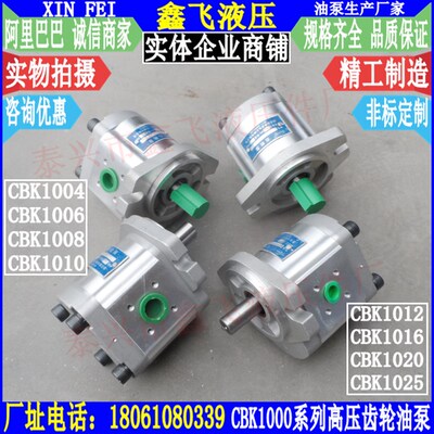 CBK1004 CBK1006 CBK1008 CBK1010高压齿轮油泵B2RF B1RT B1LT