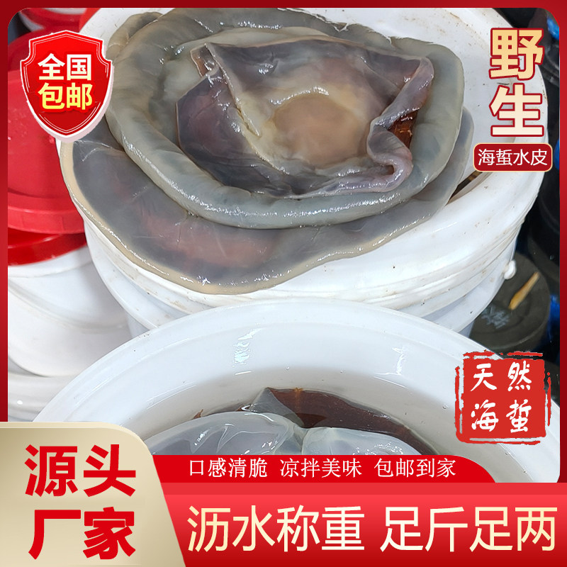 [包邮]正宗野生海蜇水皮肥非提干皮清凉好吃4.5斤净重凉拌下酒菜