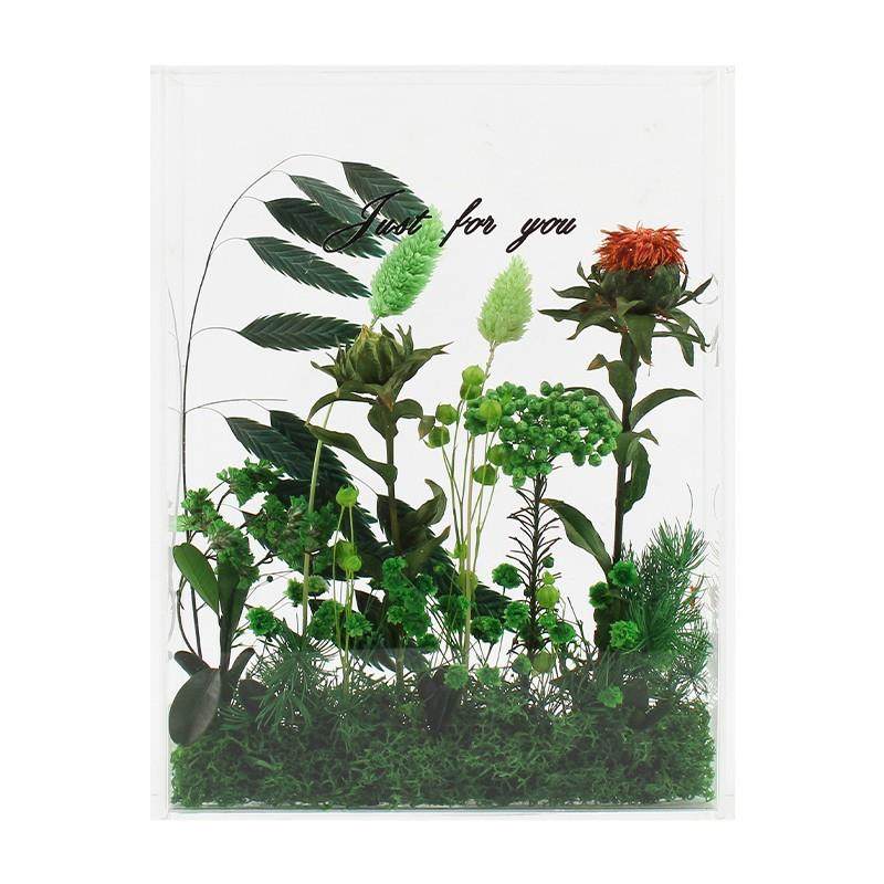 亚克力透明立体相框花盒ins摆件手工干花永生花材料包团建活动,家居饰品,DIY亲子装饰画,淘宝优惠券,粉丝福利购,淘宝优惠卷