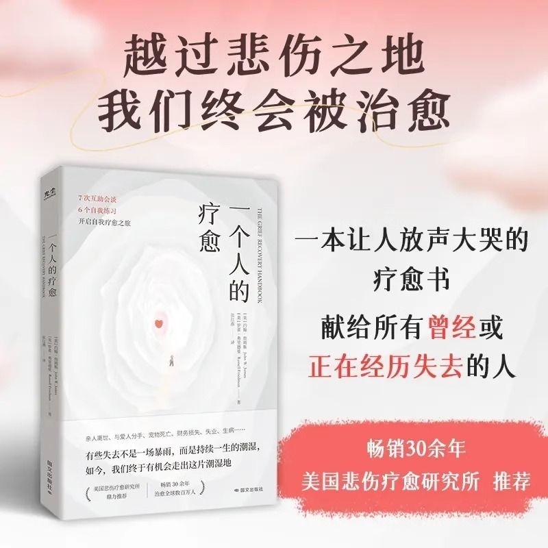 一个人的疗愈书籍樊登推荐一本让人放声大哭的疗愈书越过悲伤之地我们终会被治愈互助会谈自我练习开启自我疗愈之旅
