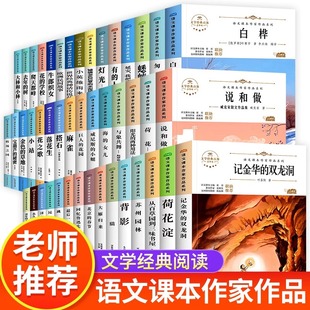 适合10 小学四五六年级阅读课外书 12岁小学生课外阅读 暑假经典 语文课本作家作品系列 铺满金色巴掌 文学阅读书籍 水泥道