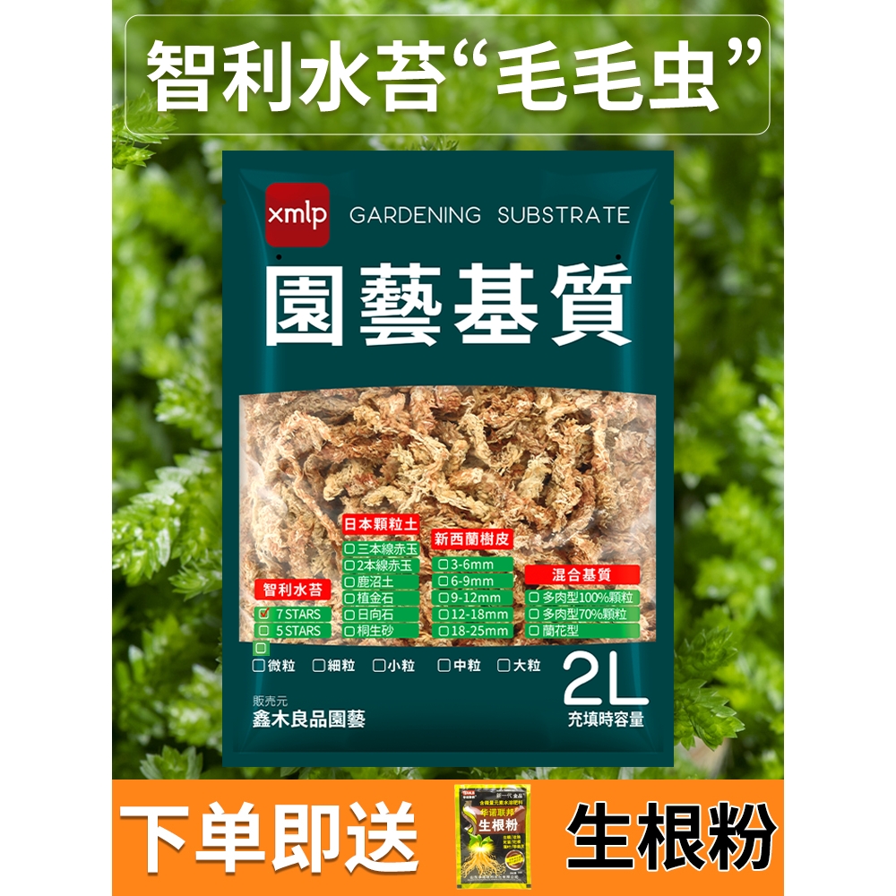进口智利基质长条水苔毛毛虫营养土介质干苔藓蝴蝶兰植物专用兰花