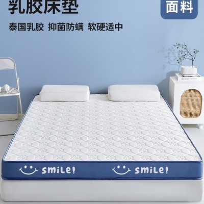 乳胶记忆棉床垫遮盖物软垫家用卧室宿舍学生单人榻榻米海绵褥垫子