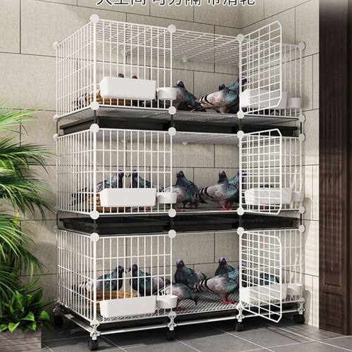 鸽子笼家用特大号养鸽子专用笼巢箱新型养殖柯尔鸭配对笼鸽舍鸽笼