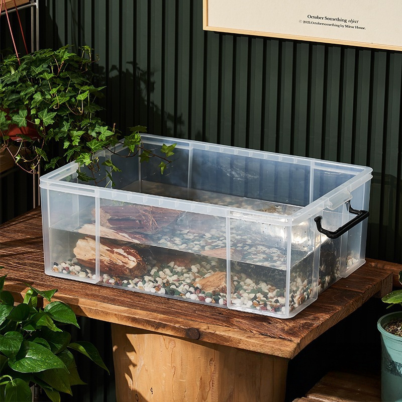 新款乌龟周转箱家用带盖过滤造景透明塑料专养鱼龟缸透明生态箱