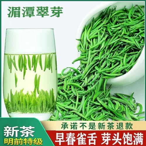 贵香春明前雀舌原产地直发