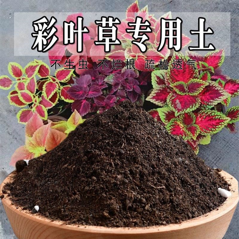 速发彩叶彩土草叶草通养土盆栽土养花种花土营用种植土壤肥料
