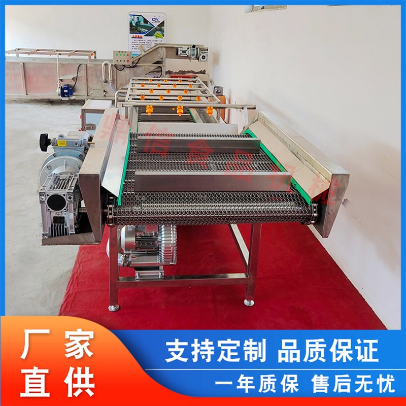 速发 鸡爪清洗机 肉制品解冻清洗机 鸭掌气泡清洗机 鸭爪清洗设备