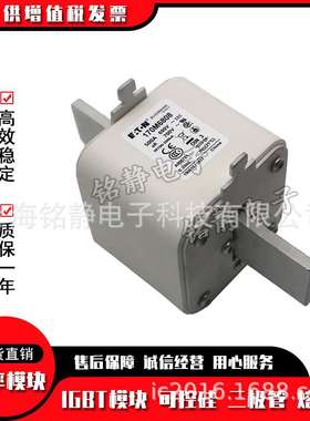 170M6689 170M6690 170M6691 170M6692 170M6693巴斯曼熔断器现货
