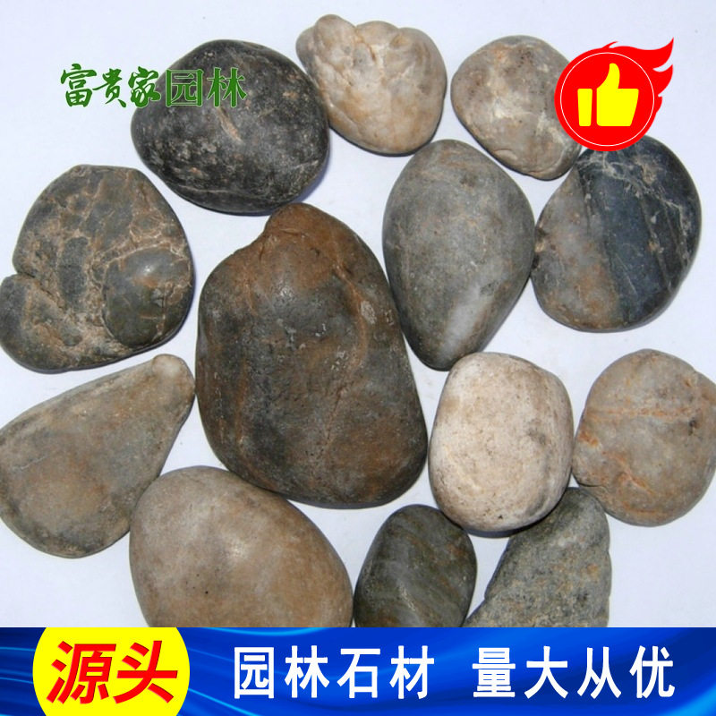 公园水池鹅卵石五彩雨花石 广场施工布景园林铺路庭院抛光石头