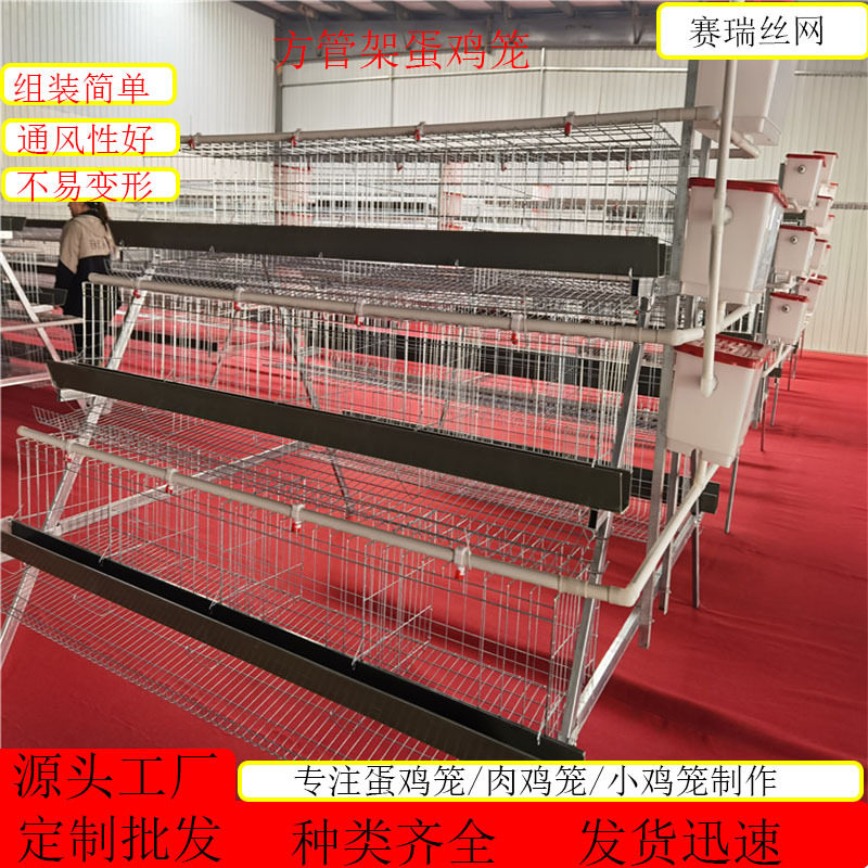 全自动半自动家用蛋鸡笼