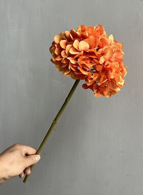 仿真绣球花秋色渐变单支