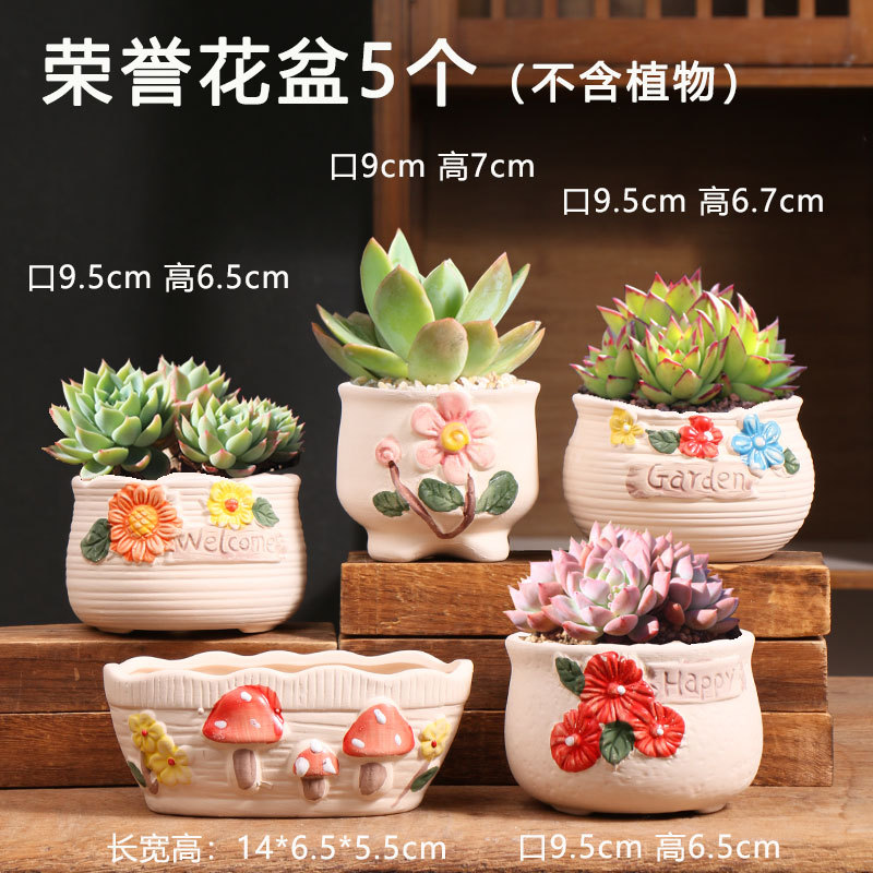 素烧多肉花盆家用大小号陶土盆粗陶创意控根花盘陶瓷花盆特价