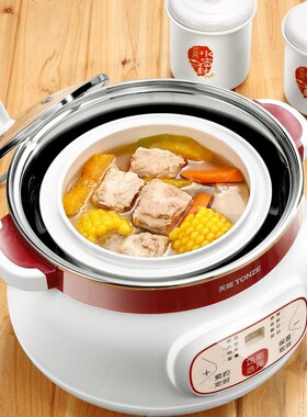 天际DGDG电炖盅隔水电炖锅定时预约炖滋补品家用