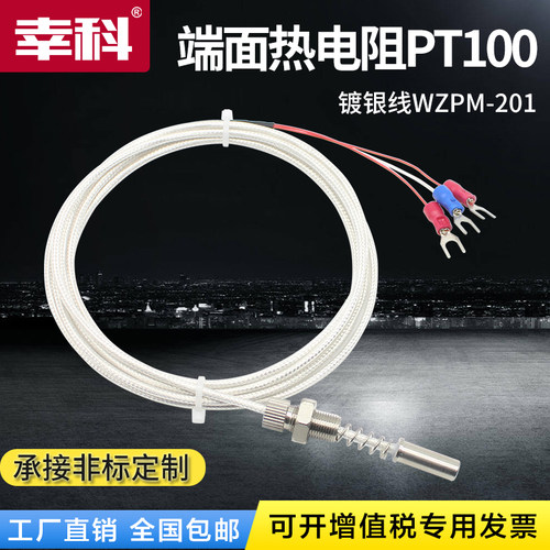 WZPM-201端面热电阻 Pt100热电阻 温度探头传感器 M8*0.75铂电阻