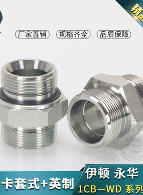 液压卡套直通轻型1CB卡套式转英制管螺纹ED圈胶垫密封24度锥接头