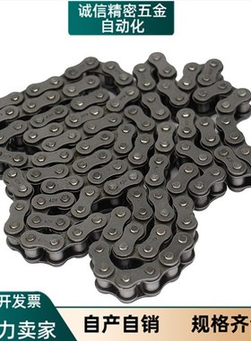 VML31-80-2-118-A/VMC31双排链条VMD/VMF/VMK/VMN-80-90-120