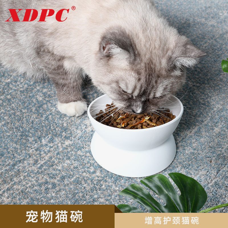 宠物斜口猫碗高脚保护颈椎塑料猫饭盆防打翻猫咪水碗狗碗狗盆饭碗
