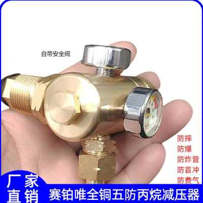 速发气新赛节唯全体铜五防丙烷减压器工业瓦斯气减压表铂能防摔省
