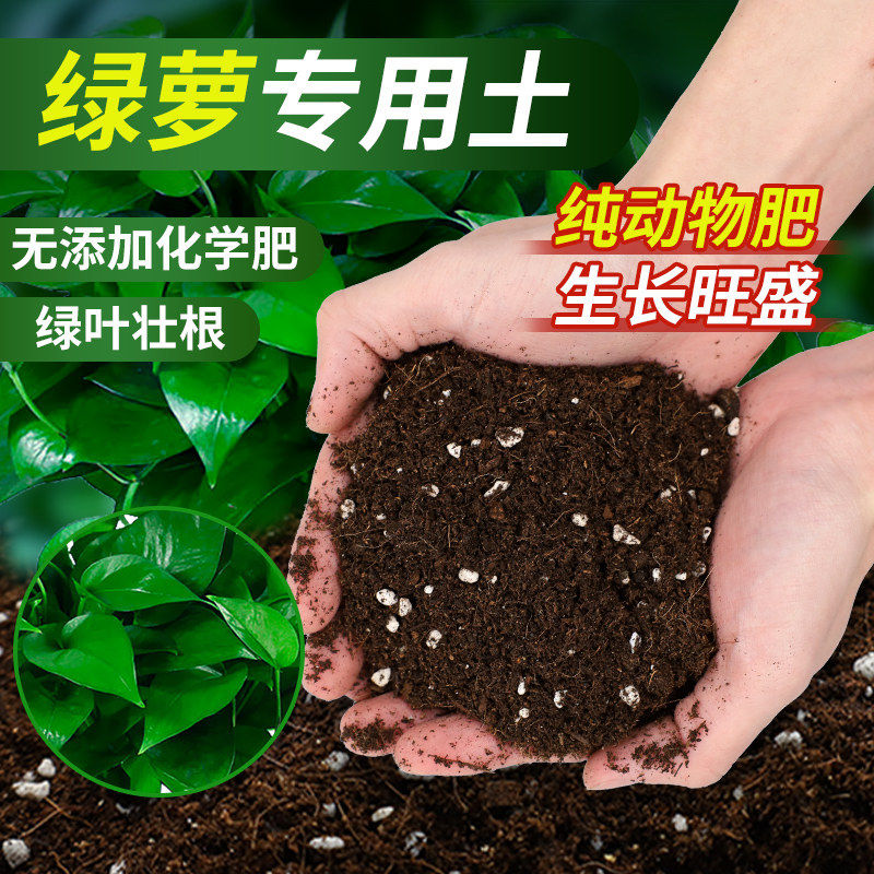 速发绿萝营养土盆花养花绿萝专用肥料家用种花卉种栽土有机台植泥
