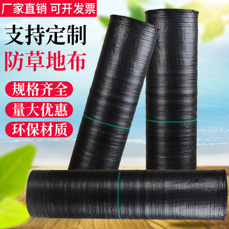 速发农用黑色加厚防草布除草布园艺地布遮盖草果树地钉大棚
