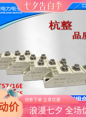 速发可控硅模块SK106/16E晶闸管5CA2A110T7610A1100V大功率双向