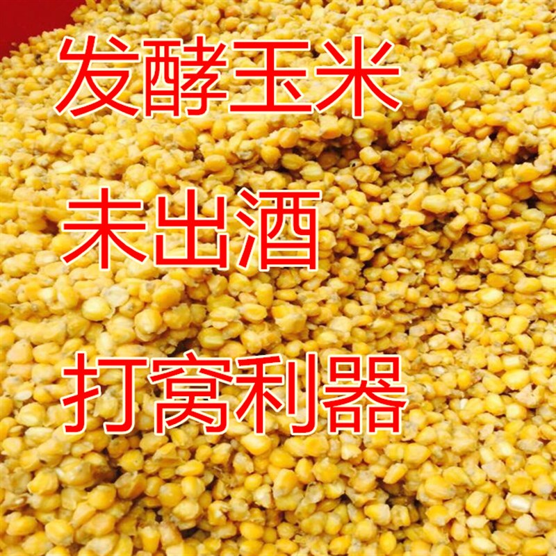 速发发酵玉米小麦鱼料玉米打窝料野青鲫鲤草窝钓鱼扁鱼打窝料酒糟