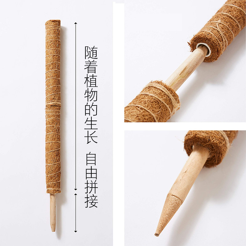 现货龟背竹支撑杆定型椰棕棒大叶绿萝棕柱植物固定攀X爬柱花架棕