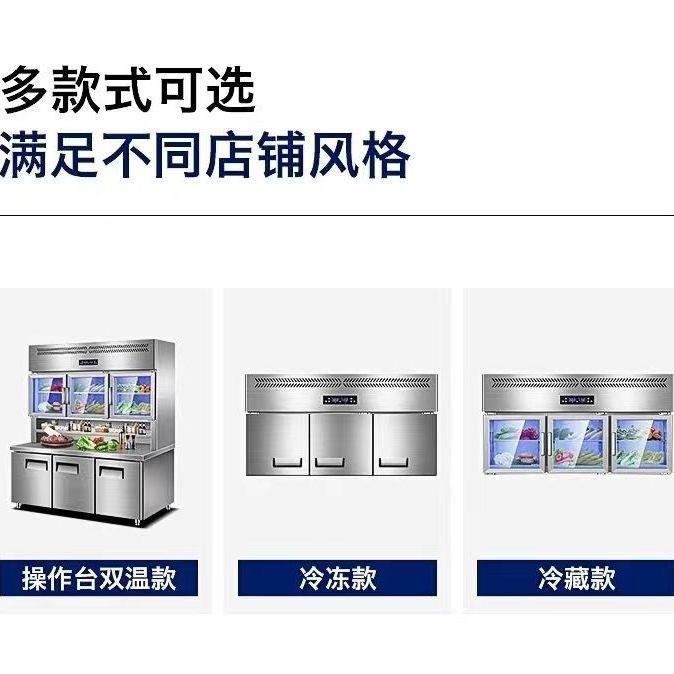 商用挂墙冰箱挂冷藏冷冻展示柜吊悬柜式冰柜嵌入其ECA式保鲜工作